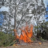 Cultural Burning