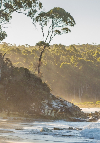 Southeast Coast Tasmania